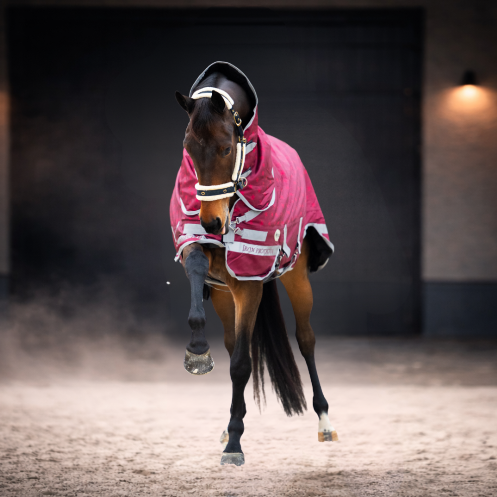 derka padokowa dla konia z kapturem 