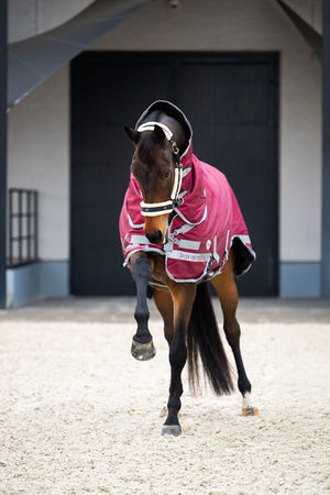 IronProtect 1200D 50g Hooded Paddock Rug