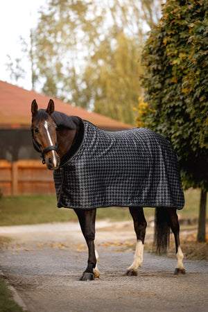 derka softshell Equus