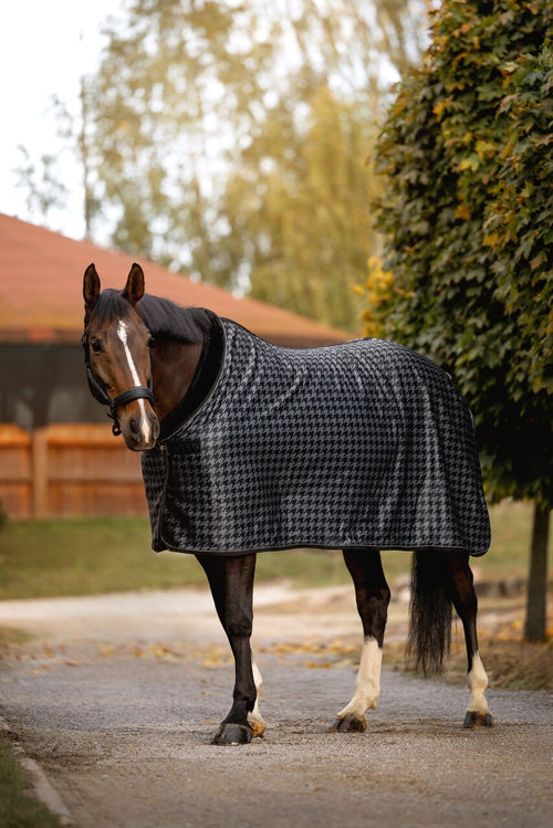 derka softshell Equus