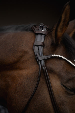 potylica anatomiczna