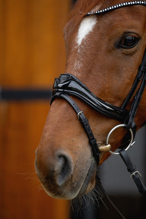 Ogłowie z nachrapnikiem anatomicznym zbliżenie