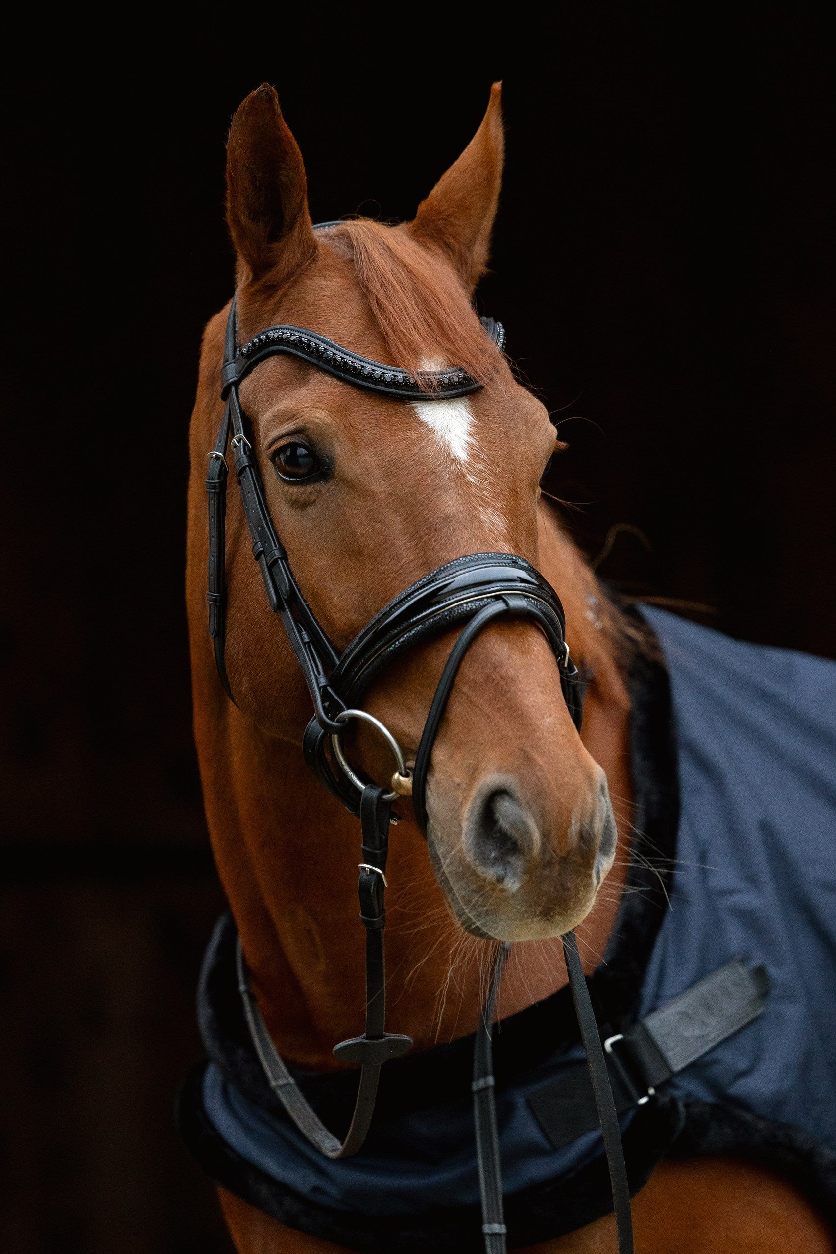 Bridles