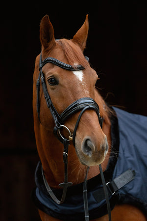 Ogłowie z nachrapnikiem szwedzkim Rain