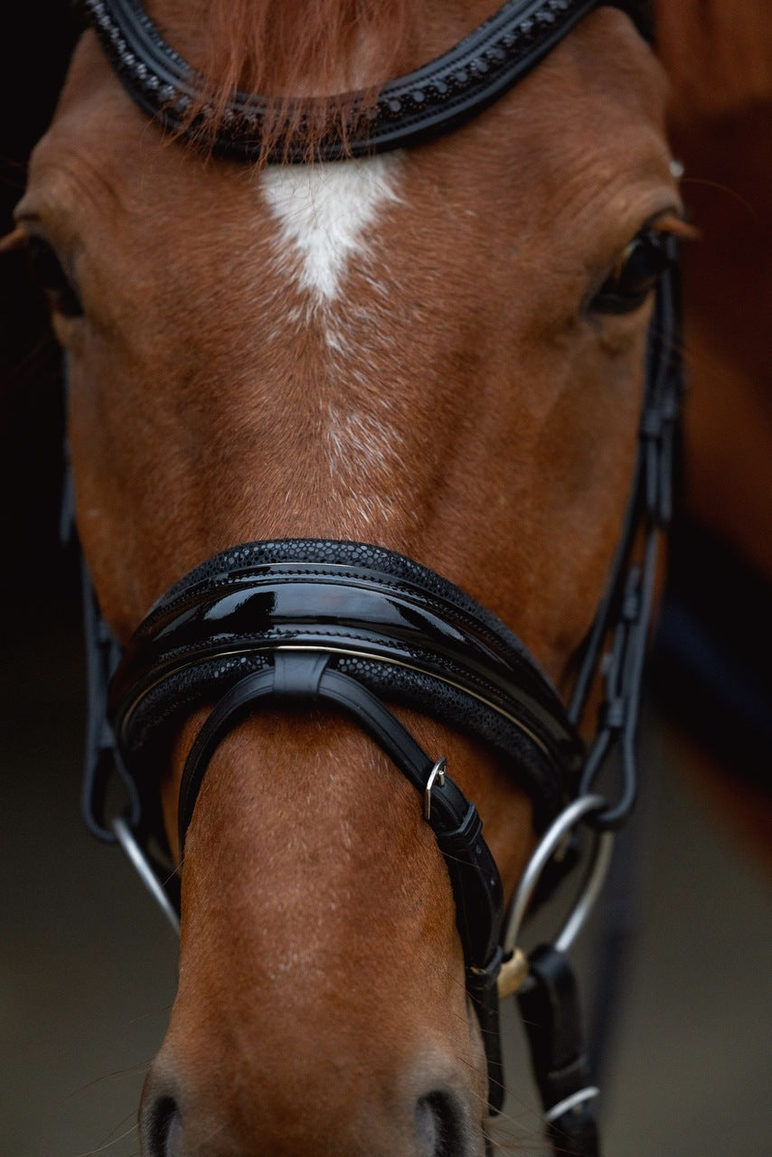 Bridles