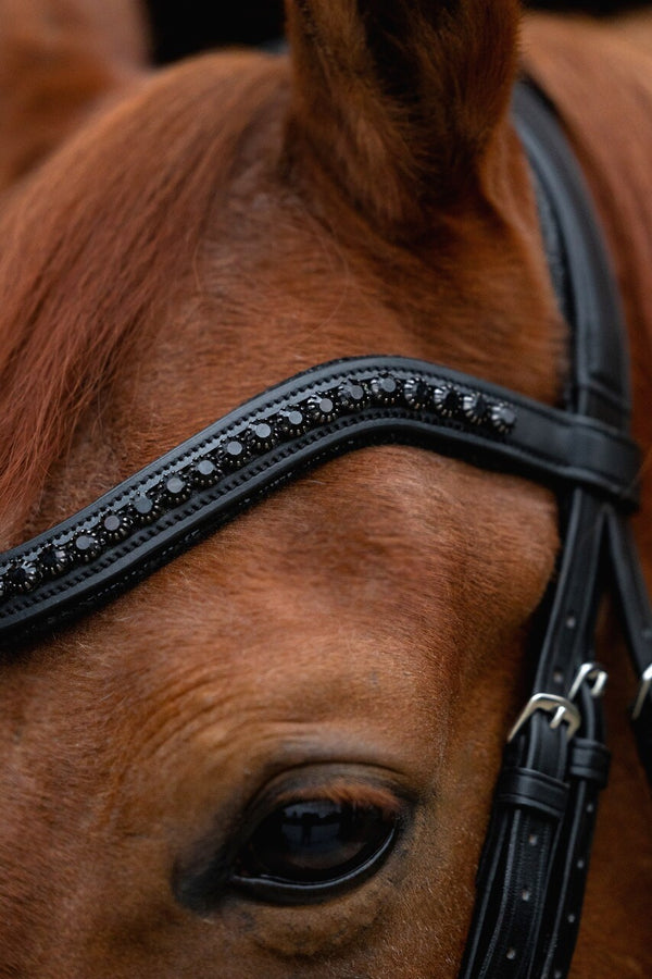 Ogłowie z nachrapnikiem szwedzkim Rain