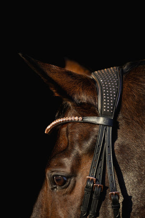 detale ogłowie Golden Rose