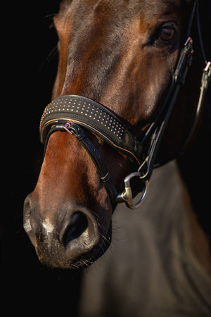 ogłowie dla konia z diamencikami