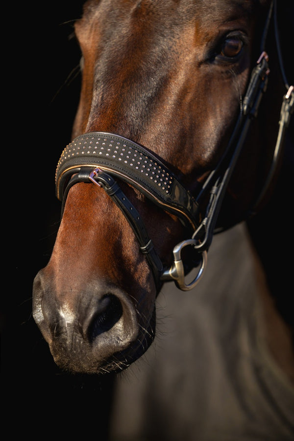 ogłowie dla konia z diamencikami