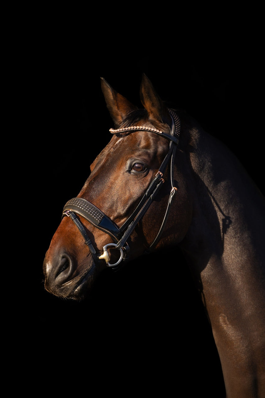 EQUUS anatomical and classic horse bridles