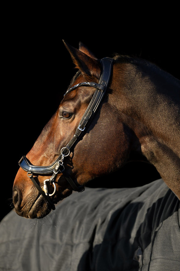 ogłowie anatomiczne dla konia 