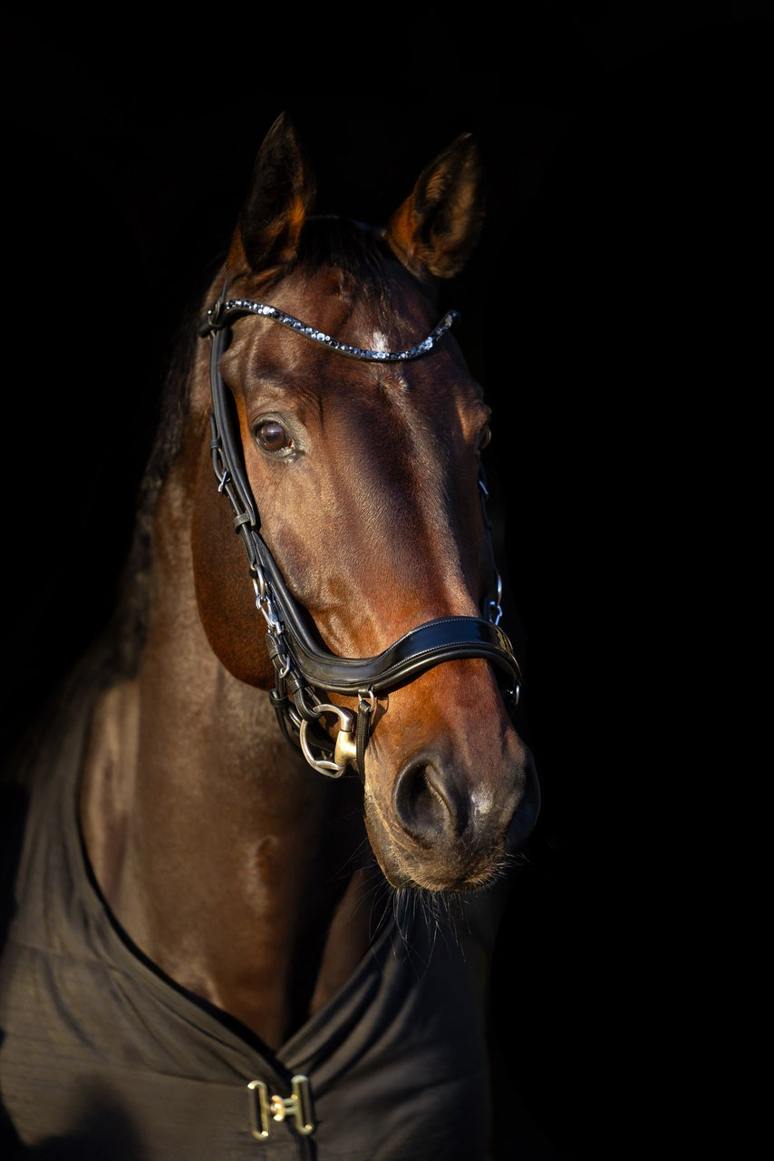 EQUUS anatomical and classic horse bridles