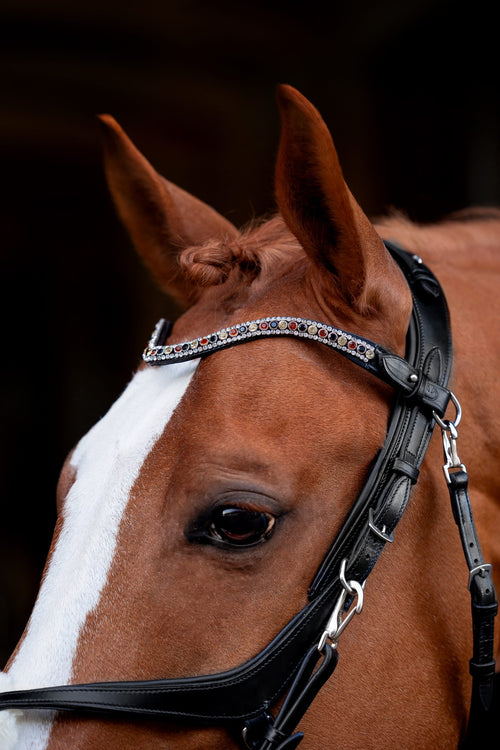 Comfort series browband