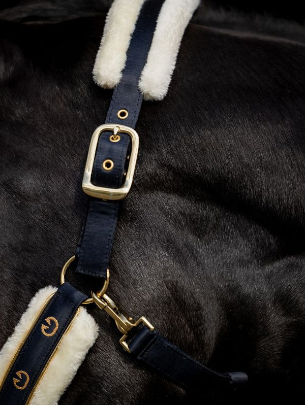 Kantar SatinPro gold Equus Brand detale