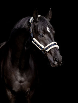 kantar dla konia satynowy