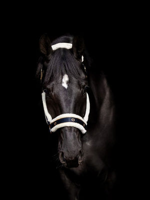 Kantar SatinPro gold Equus Brand