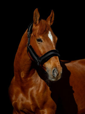 Kantar Fluff silver Equus Brand