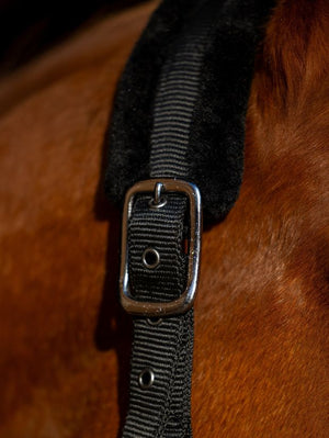 kantar dla konia detale