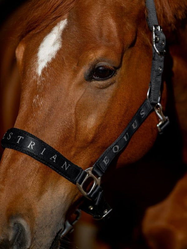 kantar SatinMesh czarny Equus Brandprzód