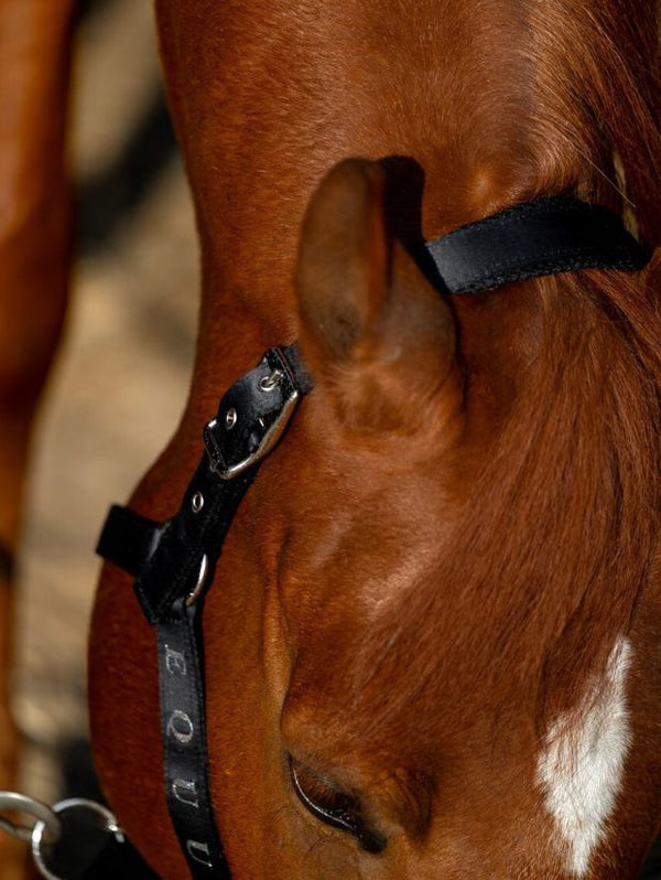 kantar SatinMesh czarny Equus Brand bok