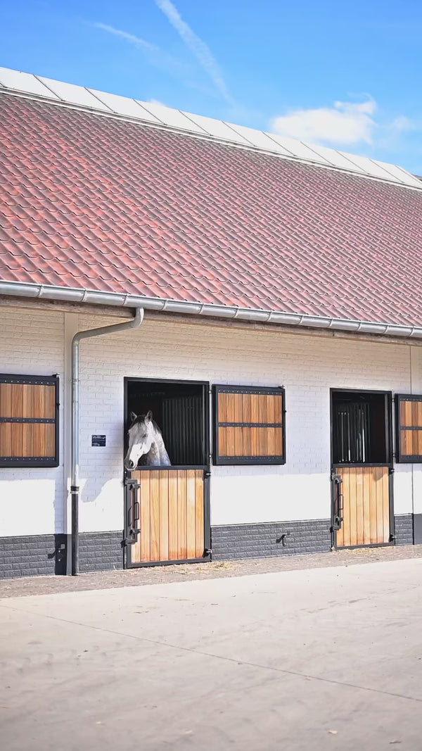 Video prezentujące nową kolekcję jesień-zima 2025 od marki Equus w kolaboracji z Decathlon