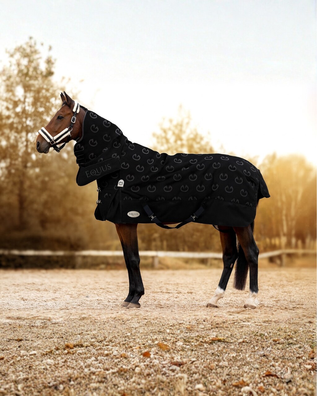 derka padokowa EquusCombo 600D 180 g czarno-szara