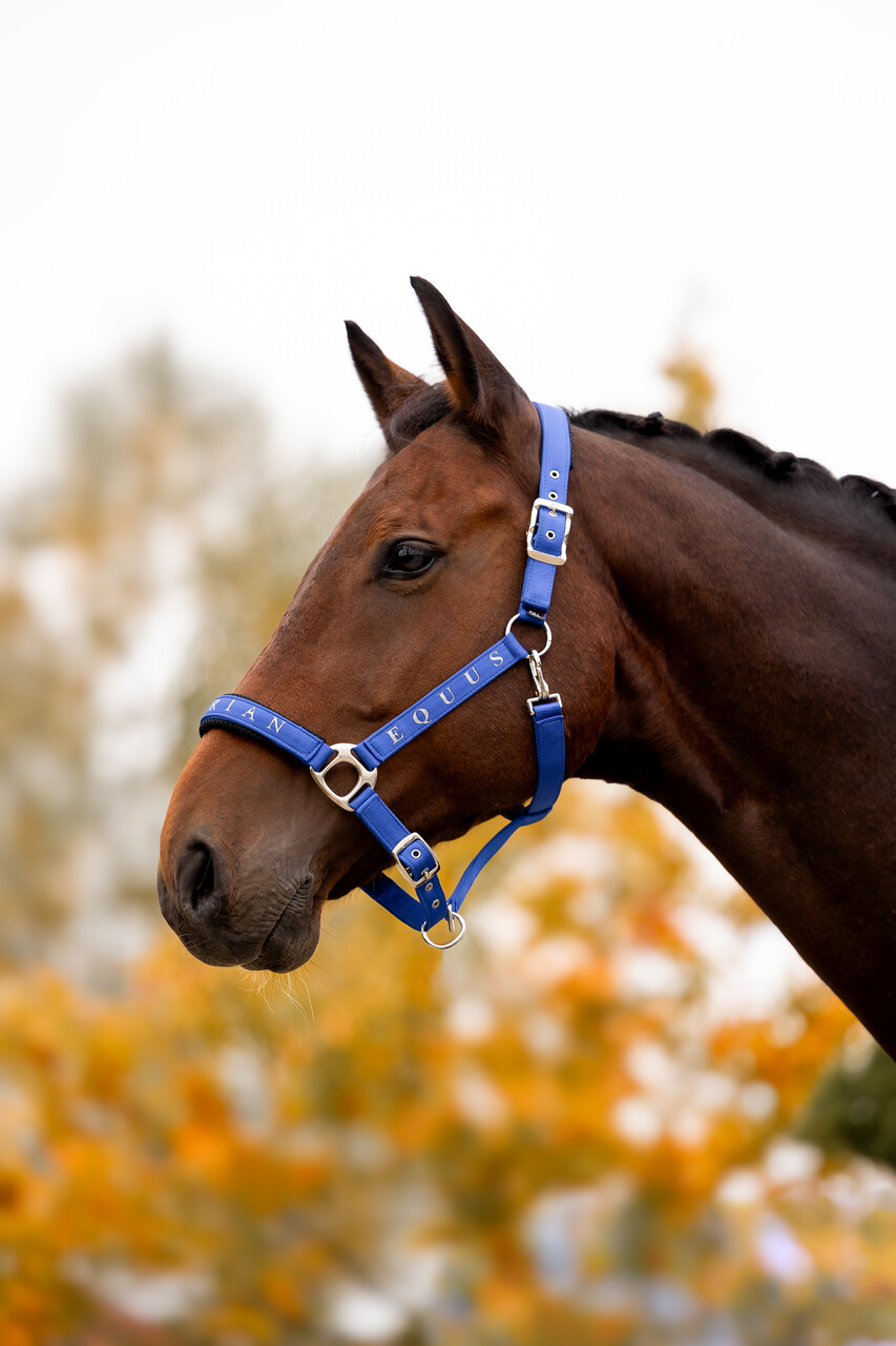 SatinMesh Blue Halter Equus