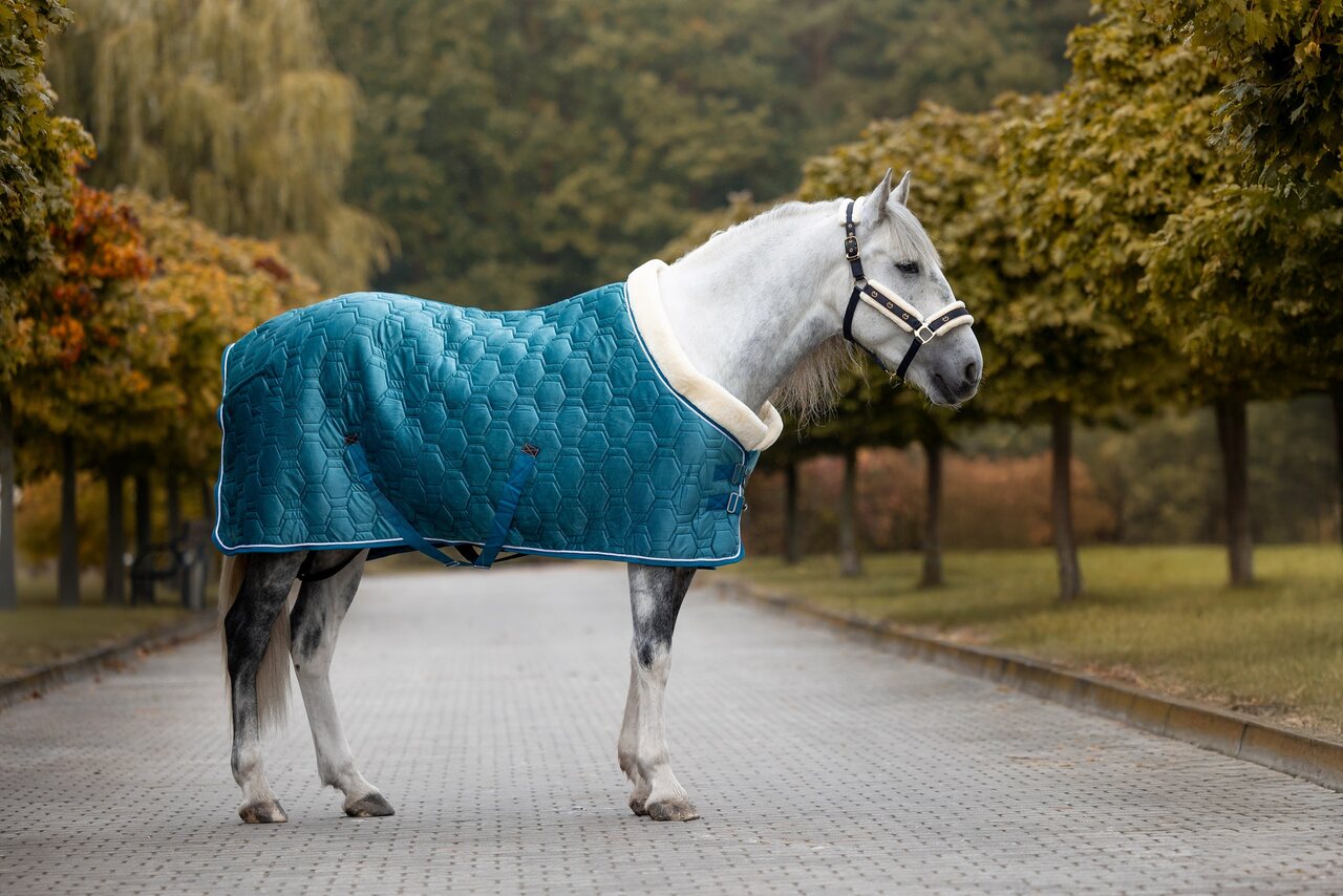 derka stajenna Velvet Equus Brand bok