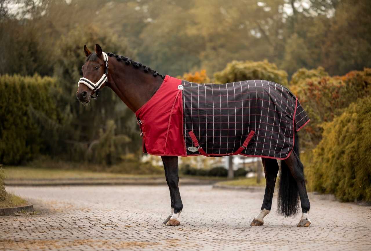 Derka padokowa FreeMove 600D