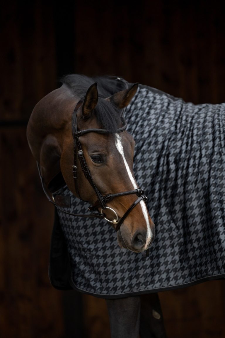 ogłowie plecione Equus