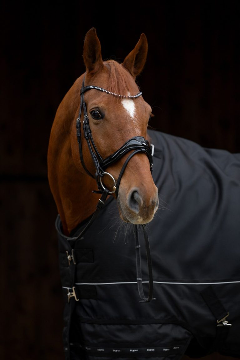 Ogłowie z nachrapnikiem anatomicznym Premio Black