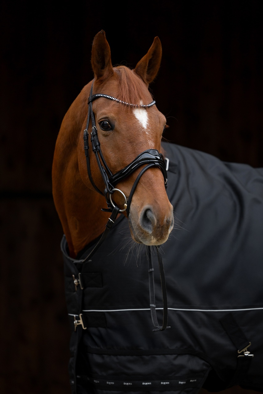 Ogłowie z nachrapnikiem anatomicznym Premio Black