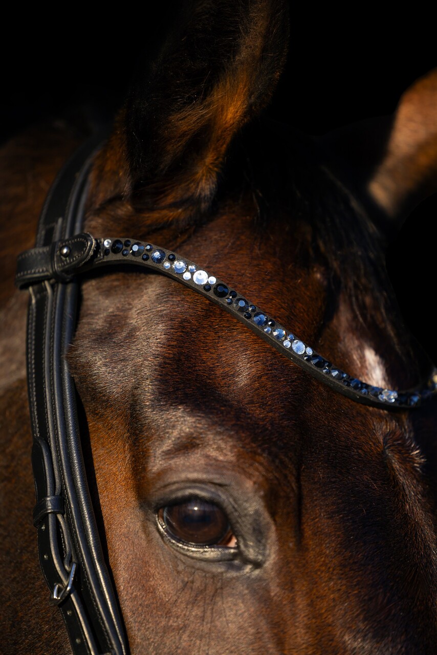 naczółek ogłowie anatomiczne Equus