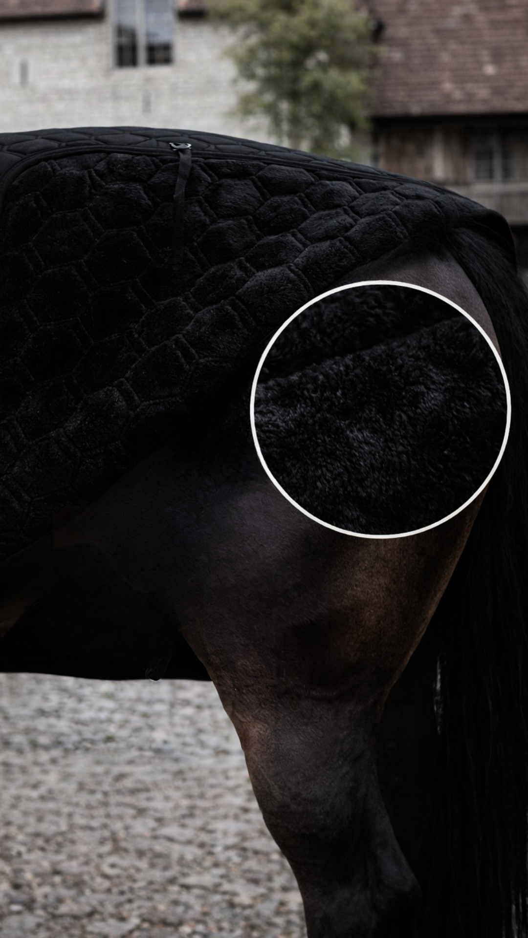 derka stajenna podszycie miś Kentucky